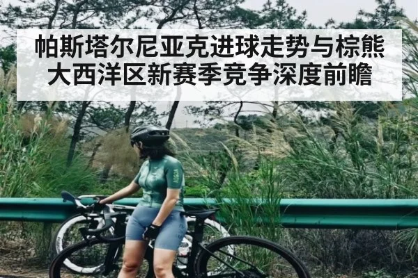 帕斯塔尔尼亚克进球走势与棕熊大西洋区新赛季竞争深度前瞻 - c7c7